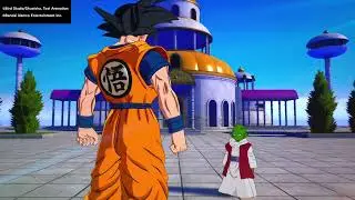 Shenron Summoning