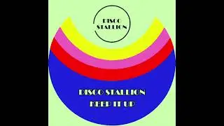DISCO STALLION - Keep It Up
