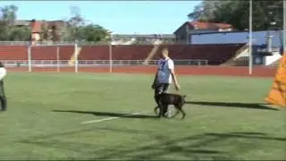 Zhanr iz Gratsiano 