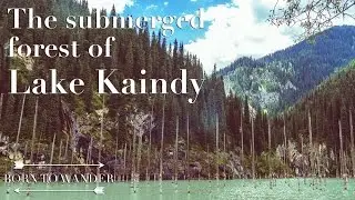 Kazakhstan: The submerged forest of Lake Kaindy and thunderstorms