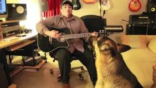 Dog Singing With Guitar
