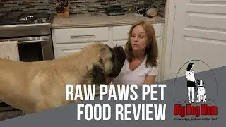Feeding Raw Dog Food on a Budget | Raw Paws Pet Food Endurance Blend Complete Beef Patties for Dogs