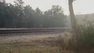 Raifanning Folkston Ga
