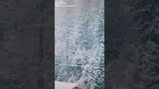Снігопад в Соймах