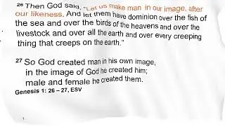6 M 6 What is holistic Christian thought
