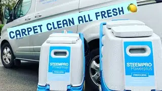 In the dry Carpet Cleaning