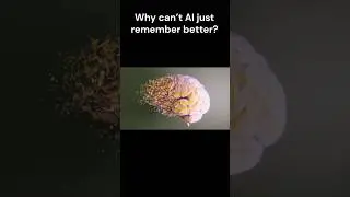 Vector Database = AI&rsquo;s Smart Memory? 🔍