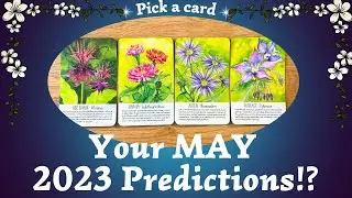 Your MAY 2023 Predictions!?! 🔮✨⎜ Pick a card⎜Timeless Reading