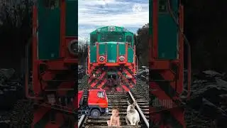 VFX fanny vidio viral