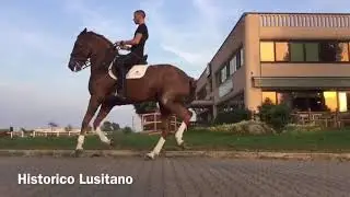 Equisport Pasquale e Angelo Beretta,Historico Lusitano,Gino Giuseppe Castellana...18/10/2018