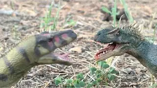 Allosaurus and Torvosaurus compete for food