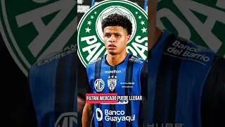 Patrik Mercado suena como fichaje para el Palmeiras 😱🇪🇨#football #futbol #palmeiras #ecuador