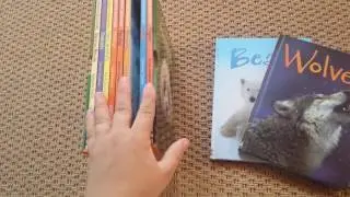 Usborne beginner reader- Animal box set