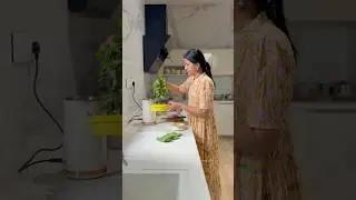 Quickly prepared Recipes | Lunchbox Morning Series| Vennila Veedu #Shorts