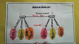 Trunk port & Access port | Tamil | Session 8 |
