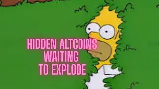 Hidden Altcoins Waiting to Explode #xcn #torn #bnt #nct #zora #amp #ctsi #ll #zbcn #dash #qnt #quant