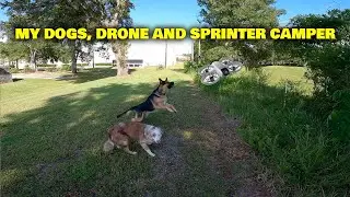 My Dogs, Drone and Sprinter Camper Van