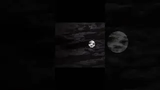 Full moon | #freebackgroundvideo #forcreators #halloween