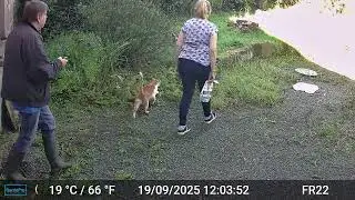 Pictures & Videos GardePro A3 Trail Camera 9 of 12 FR22 Part 2 C&ocirc;tes d'Armor, Brittany, France