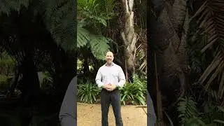 Optimal Health Program Introduction
