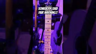 Van Halen Mean Street Kramer Fair Warning Guitar #vanhalen #guitar #eddievanhalen #guitarmusic