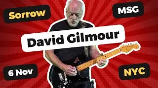 David Gilmour Sorrow Live at Madison Square Garden On 6 November, Luck and Strange Tour. Duel Camera