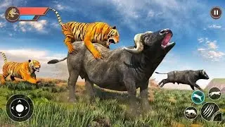 Tiger simulator | Tiger vs Lion game | Tiger vs dinosaur | Tiger simulator game
