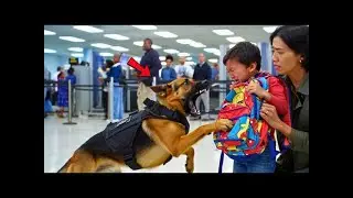 K9 Hero Dog Exposes Woman at Airport &mdash; What They Found in the Boy&rsquo;s Backpack Shocked Everyone