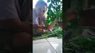 PERONTOK SUSUK😁