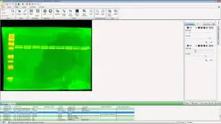 Image Studio 5.0 ‑ Image Ribbon