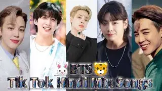 🥀🍁 BTS Jk an Jimin cute  Members🥀Tik Tok Hindi Mix Songs🥀 Hindi an English mix song🥀Jk an Jimin🌿🥀🌿