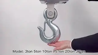 Electronic Crane Scale