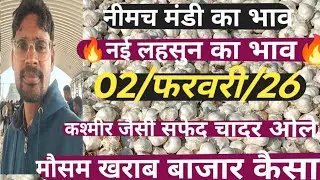 नई लहसुन का आज का भाव New garlic price,today ooty garlic bhav,lahsun ka,neemuch mandi,mandsour Mandi