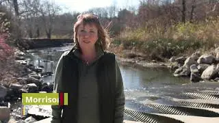 KC Parks: Line Creek Trail