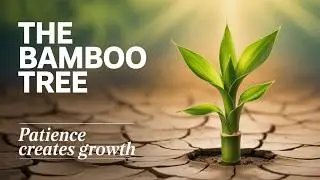 The Bamboo Tree &ndash; A Story About Patience & Growth | Inspirational Life Lessons