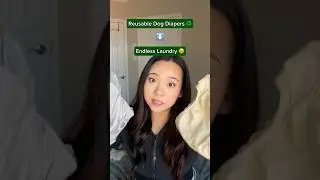 This Dog Diaper Hack Will Change Your Life!