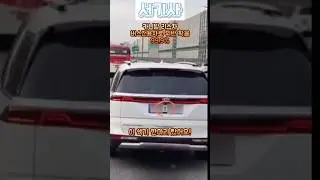 카니발 리스차 버스전용차로 위반 확율 99.9%