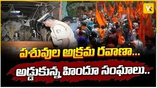పలమనేరులో పశువుల అక్రమ రవాణా అడ్డుకున్న హిందూ సంఘాలు | Chittoor News | #yktv