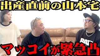 【緊急】まもなく子供が生まれる山本家にマッコイが突撃してきた【いきなり】