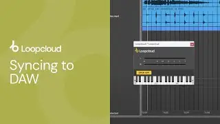 Синхронизация Loopcloud с DAW | Loopcloud 101