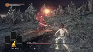 SL1 Fists only - Soul of Cinder (no duel charm, unsegmented)