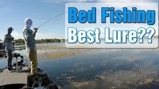 Sight Fishing for Spawning Largemouth Bass | Best Lure for Bed Fishing - Johns Lake