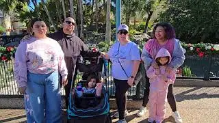 Family of Fun at SeaWorld! Our January 1st Adventure