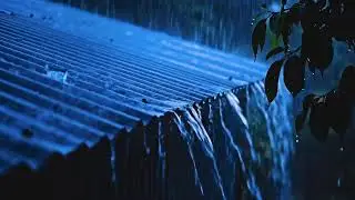 Nighttime Rain ASMR on Tin Roof: Aesthetic Metallic Drumming for Peaceful Sleep Relaxation 00010