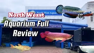 Northwest Aquarium එකේ අලුත්ම Tour එක./ 🤯@Theaquatales-