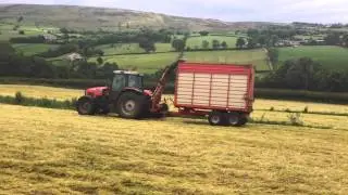 Silage 2014 Massey 5465 and NC single chop harvester