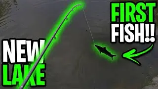 New Pond Found With Google Maps! | Craig Regional Park Fishing | December 2020