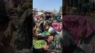Pagal prank🤣🤣 #funny #comedy #comdeyclub #comedyvideos #viral #fun #prank