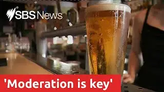 Moderate alcohol consumption reduces cardiovascular disease I SBS News