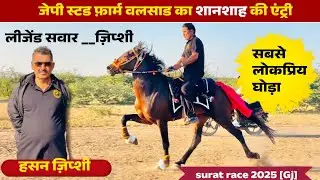 Shanshah horse entry | Surat Race | Jaypee Stud Farm Valsad Gujarat | Hasan Zipshi | #suratrace2025